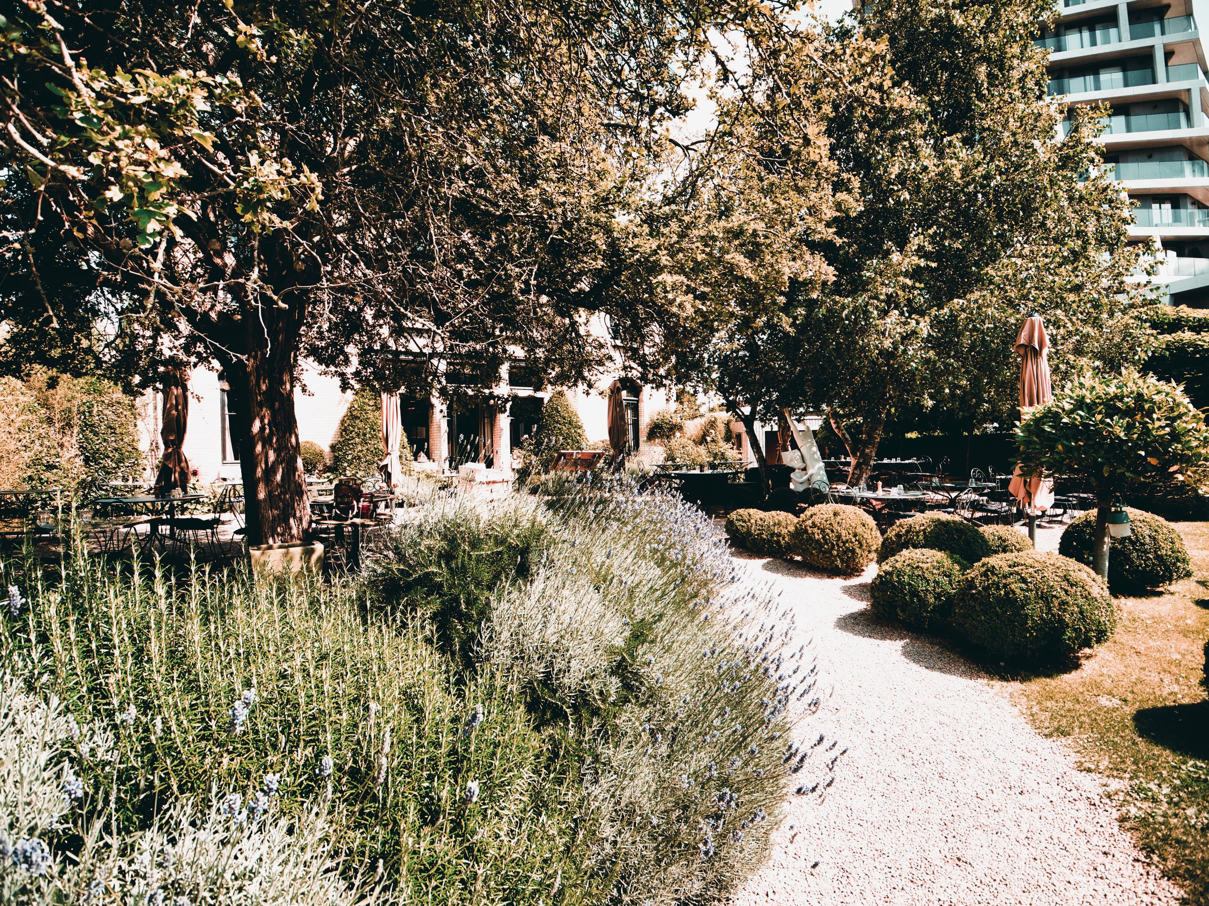 Les jardins du restaurant
