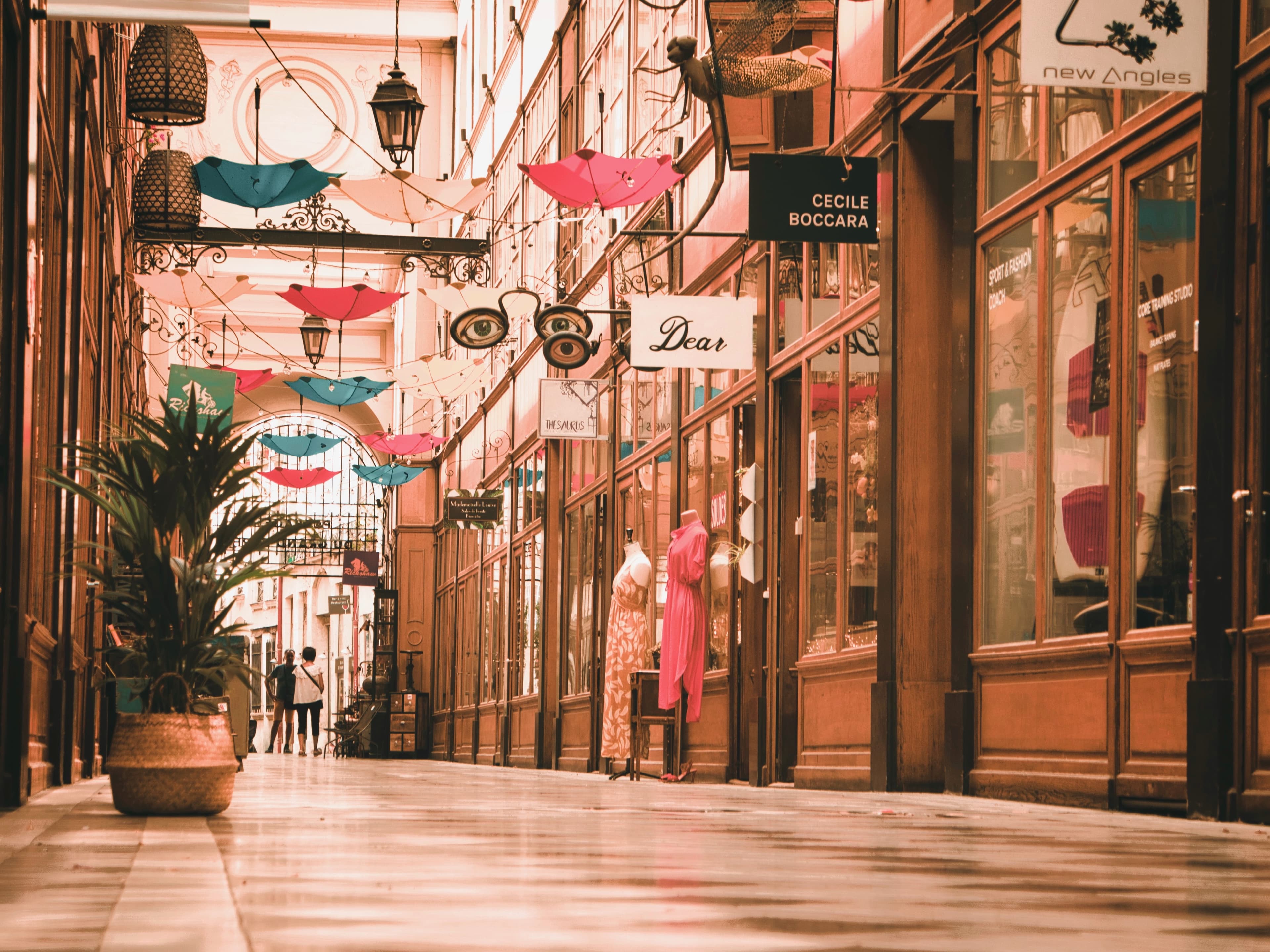 Verrière zénithale et mosaïques au sol de la Galerie Vivienne